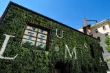 A building with lush green plants growing on its side, adding a touch of nature to the urban landscape